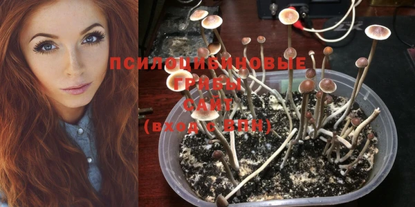 прущая мука Лабытнанги