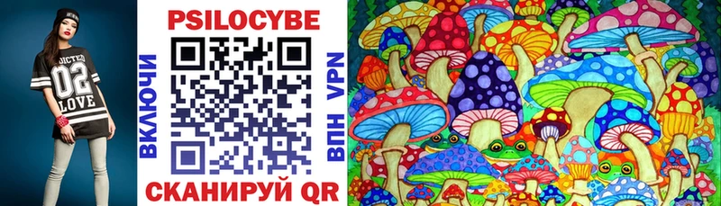 закладки  Братск  Псилоцибиновые грибы Cubensis 