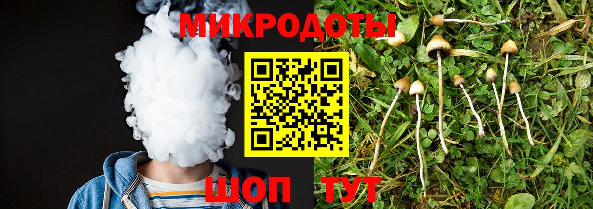 Галлюциногенные грибы Psilocybine cubensis  Галлюциногенные грибы мицелий  Вход с VPN  Братск 