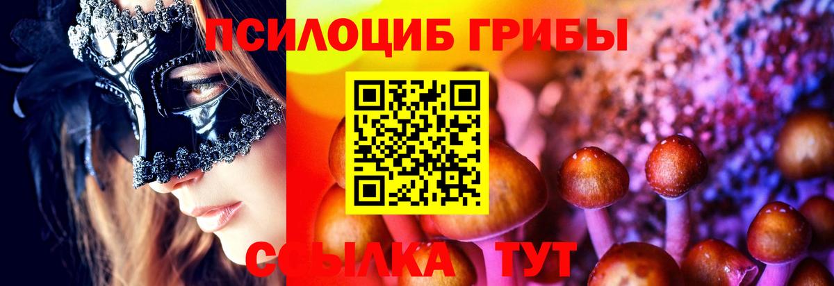Галлюциногенные грибы Psilocybine cubensis  Братск  Галлюциногенные грибы мицелий 